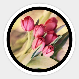 Vintage Tulips Sticker